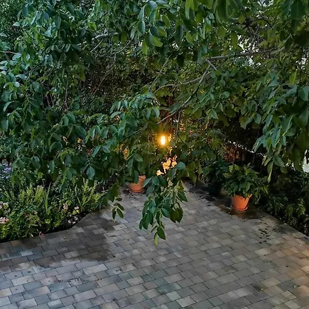 Apartments Olive *